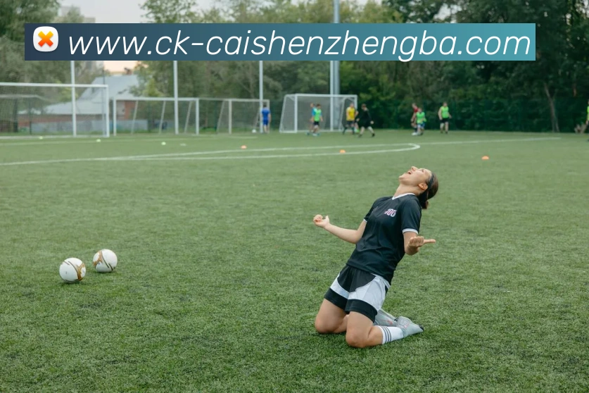 彩神争霸服务体系